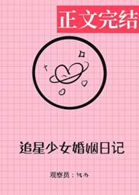 追星少女婚姻实录 封面