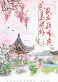 《总是被拆散在新婚夜（女穿男）》