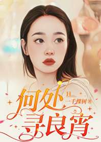 何处寻良宵 封面