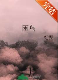 困鸟 封面