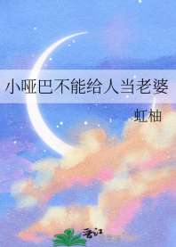 小哑巴不能给人当老婆 封面