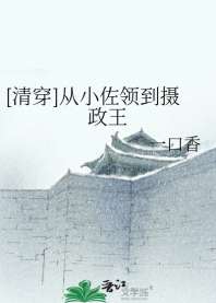[清穿]从小佐领到摄政王 封面