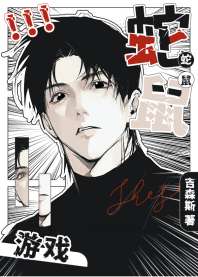 蛇鼠游戏 封面