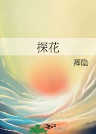 探花 封面