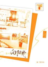 向阳处 封面