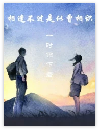 相逢不过是似曾相识 封面