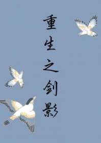 重生之剑影 封面