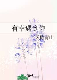 有幸遇到你 封面