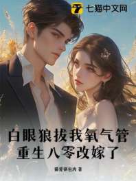 搬空婆家离婚后，被八零京少宠上天 封面