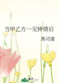当甲乙方一见钟情后 封面
