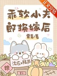 乖软小夫郎换嫁后 封面