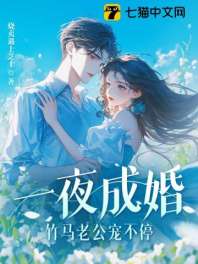 一夜成婚，竹马老公宠不停！ 封面