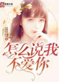 怎么说我不爱你 封面