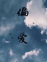 偏爱 封面