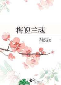 梅魄兰魂 封面