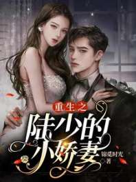 重生之陆少的小娇妻 封面