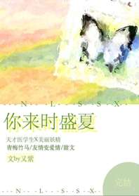 你来时盛夏 封面