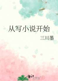 《从写小说开始》封面