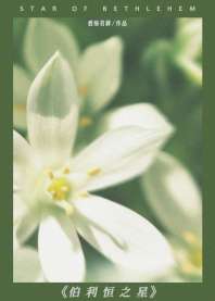 伯利恒之星 封面