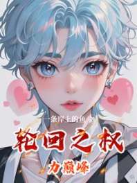 轮回之权力巅峰 封面