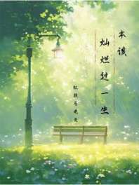 本该灿烂过一生 封面