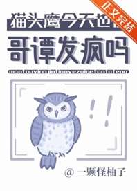 猫头鹰今天也在哥谭发疯吗 封面