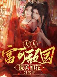 夫人富可敌国貌美如花 封面