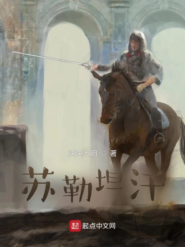 大漠雄鹰苏勒坦汗 封面