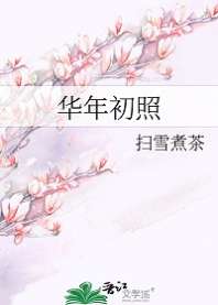 华年初照 封面