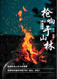 枪响于山林 封面