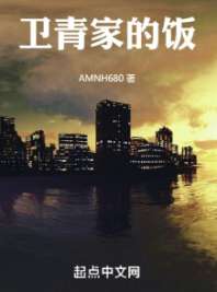 卫青家的饭 封面