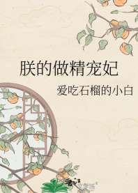 朕的做精宠妃 封面