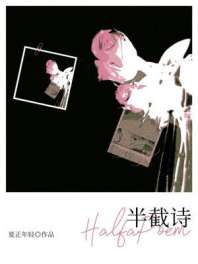 半截诗 封面