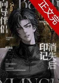 向导伴侣印记消失后 封面