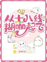 从十八线糊咖起飞 封面