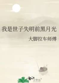 我是世子失明前黑月光 封面