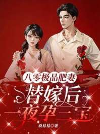 八零极品肥妻，替嫁后一夜孕三宝 封面