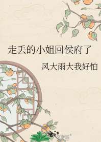 走丢的小姐回侯府了 封面