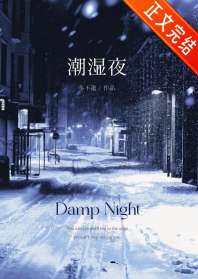 潮湿夜 封面