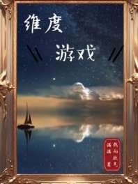 维度游戏 封面