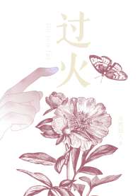 过火 封面