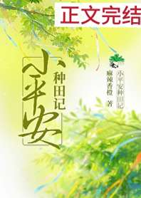 小平安种田记 封面