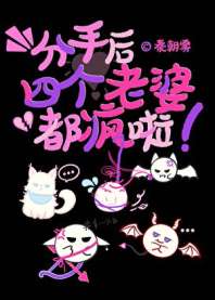 分手后四个老婆都疯啦 封面