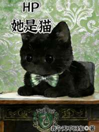 HP她是猫 封面