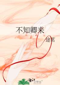 不知卿来 封面
