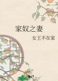 《家奴之妻》封面