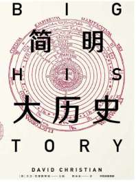 《简明大历史》