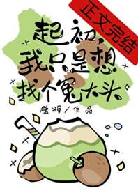 起初,我只是想找个冤大头 封面