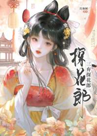 三弃探花郎 封面