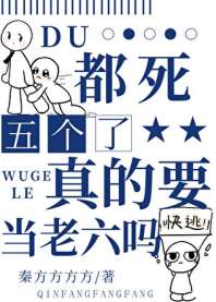 夫人，万万不可 封面